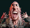 Sebastian Cast - DEE SNIDER - Caricature de musicien - Impression d'art