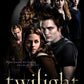 WSH – Twilight – Filmplakat – T-Shirt mit Flügelärmeln