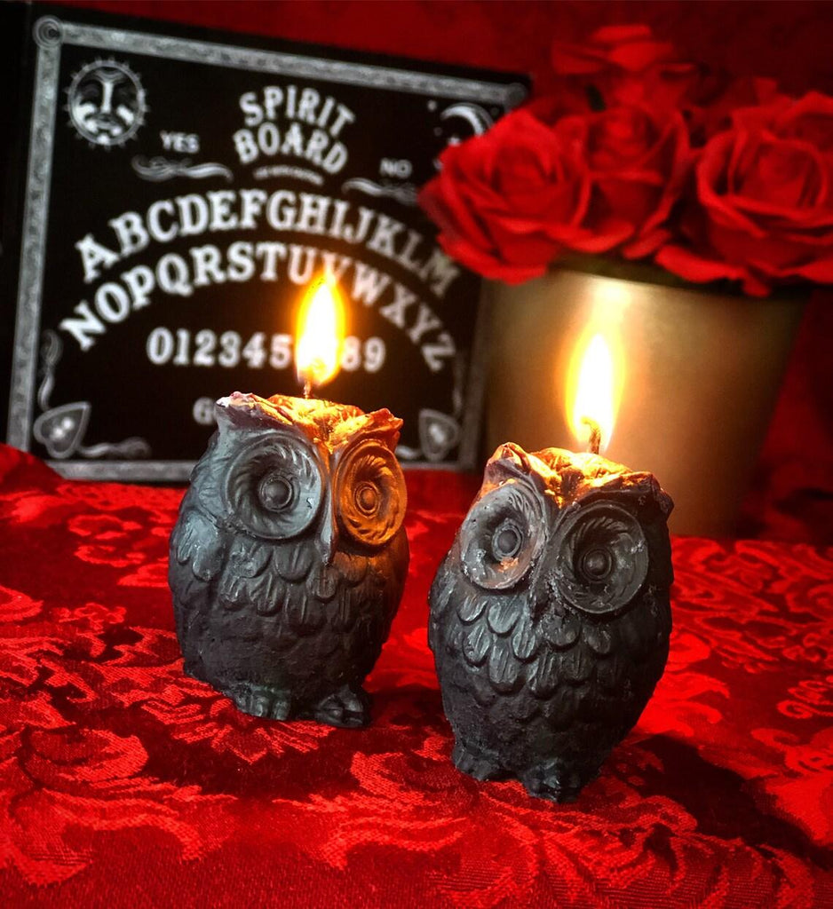 Wild Star Hearts - BLACK OWLS - Pair of Scented Candle - Wild Star Hearts 